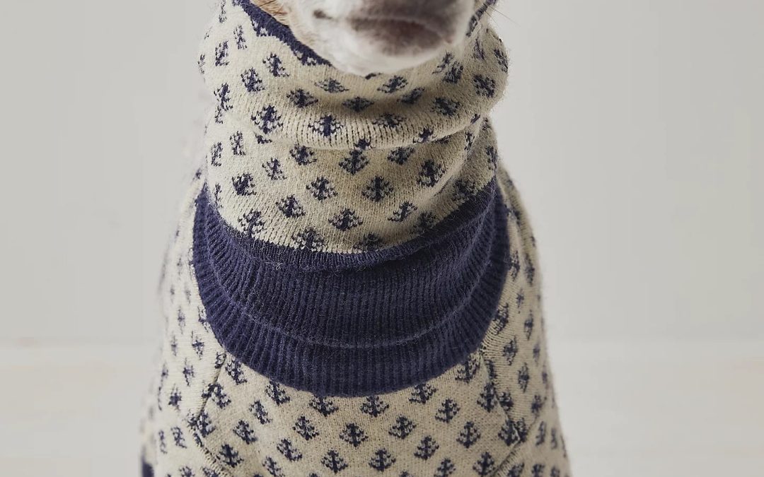 26 Items For Canines, Cats, And Their People