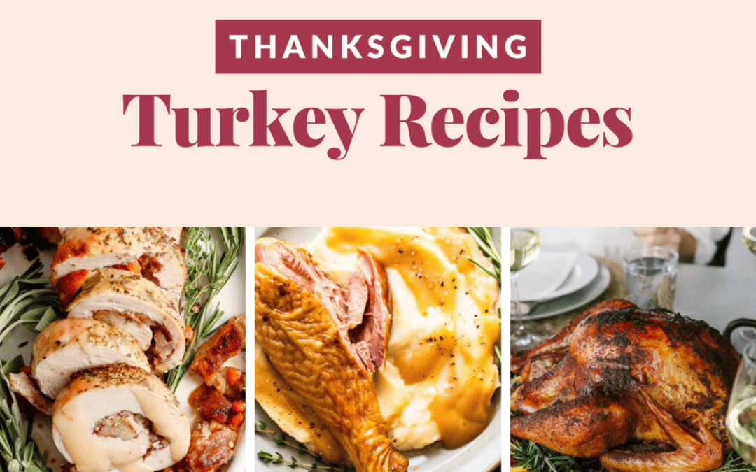 9 Thanksgiving Turkey Recipes (+ turkey leftover concepts!)