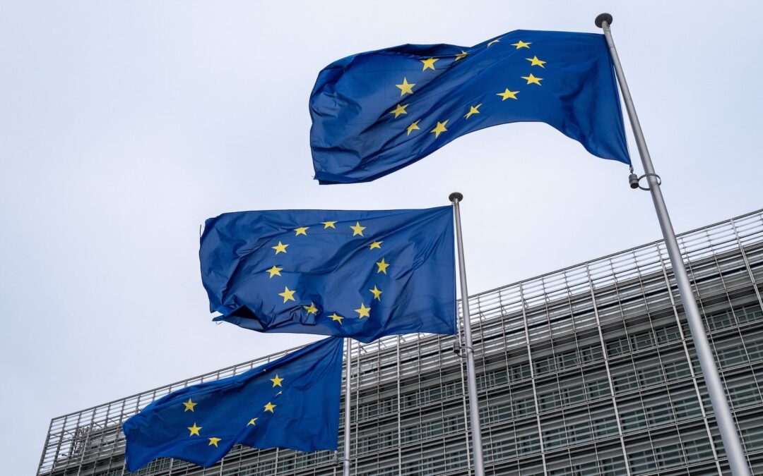 EU Plans 2 Euro Price for Low-Worth Parcels in Setback for Shein and Temu