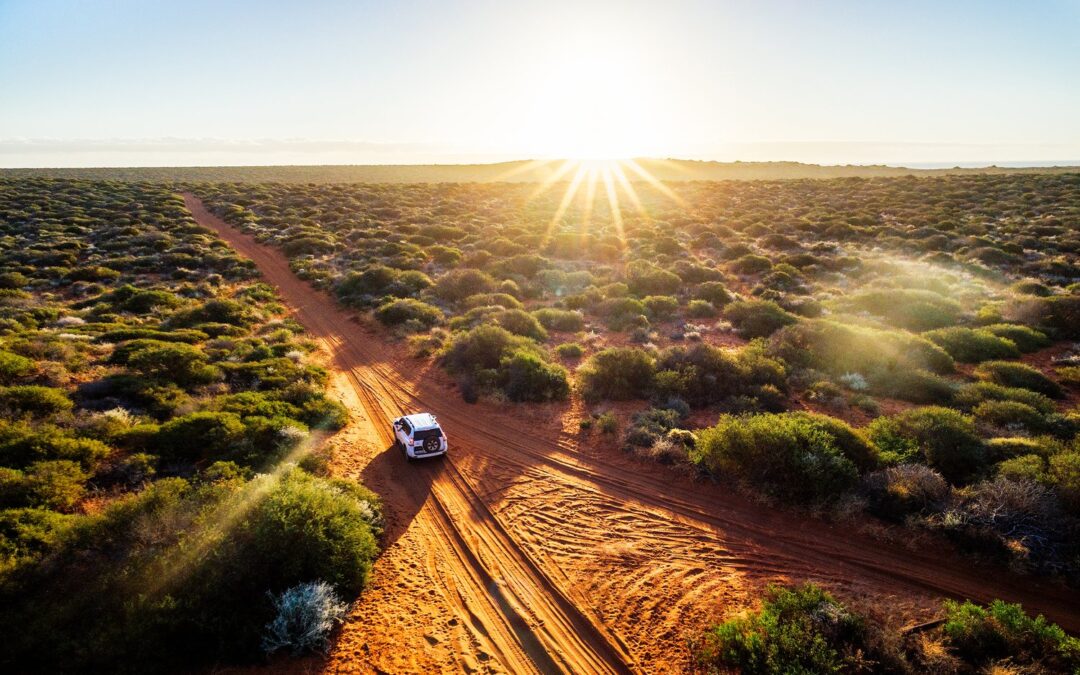 Discover Australia’s Wealthy Gold Heritage by means of Tourism — Gold Trade Group