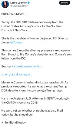Maurene Comey, Epstein Prosecutor and Daughter of Former FBI Director, Fired From DOJ