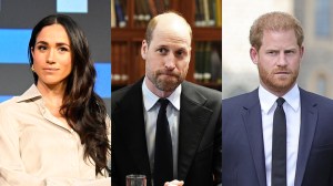 Is Prince William Going to Parliament to Strip Prince Andrew’s Titles?