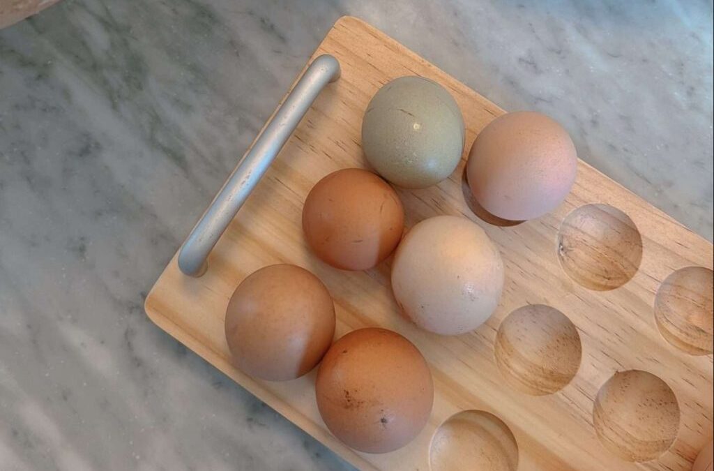 What I Eat In A Day and The Bowl of Meat I Keep Talking About