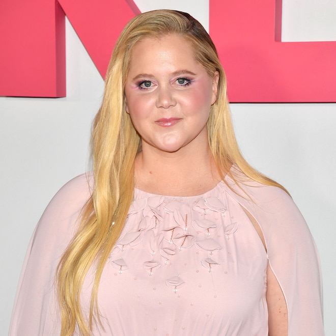 Amy Schumer Bares Toned Abdomen After Weight Loss