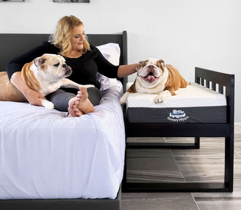 Sleepy Hippo Canine Mattress Overview: Luxurious Consolation Your Pup Deserves