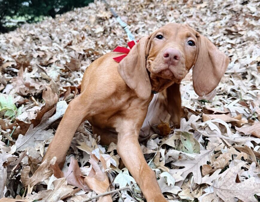 Issues I am Loving Friday #578